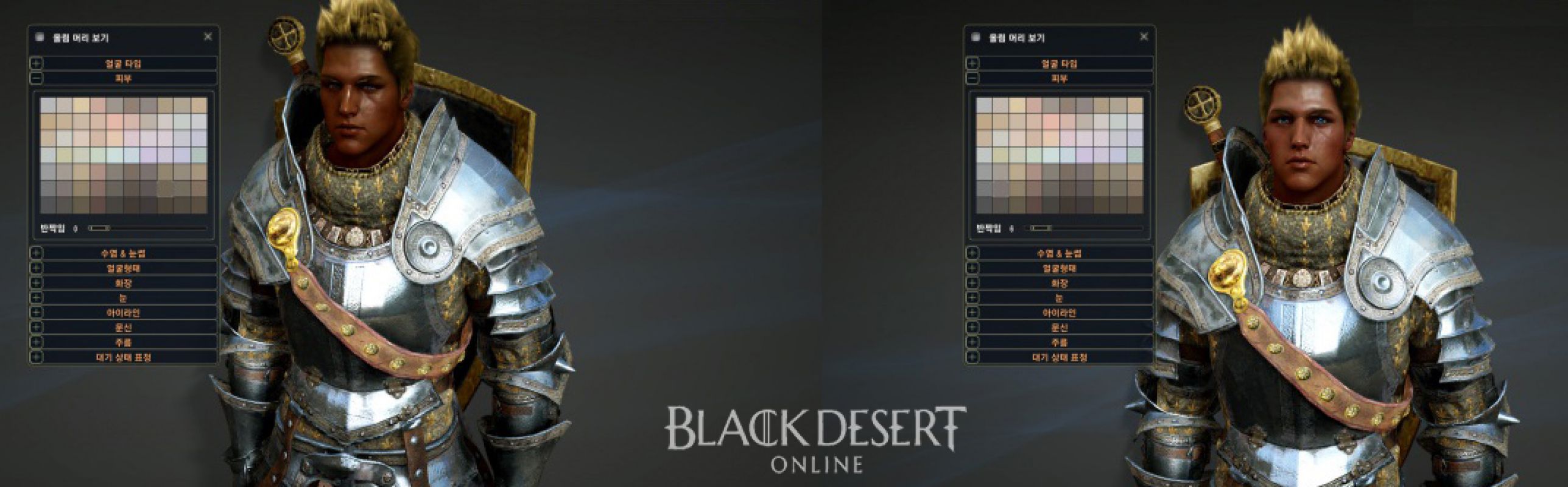 Black Desert Online EU/NA — Информация о первом европейском ЗБТ