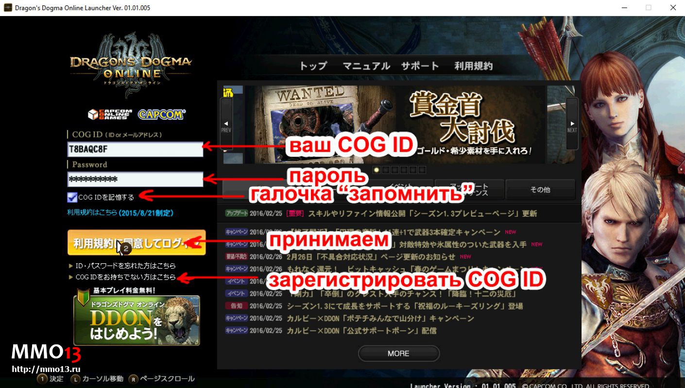 Гайд «Как начать играть в Dragon`s Dogma Online на японском сервере»