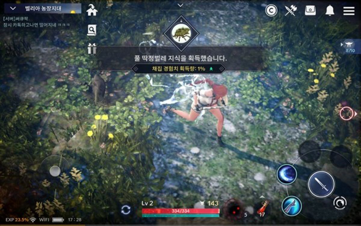 Обзор Black Desert Online Mobile: что нового и чем отличается от версии для ПК