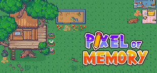 Pixel of Memory