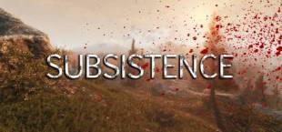 Subsistence