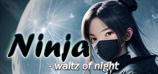 Ninja - waltz of night