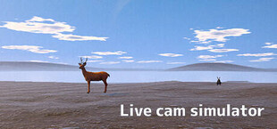 Live Cam Simulator