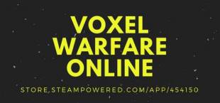 Voxel Warfare Online