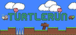 TurtleRun