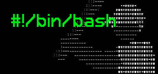 #!/bin/bash