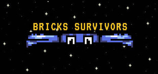 Bricks Survivors