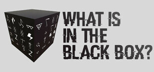 What is in the Black Box?