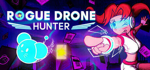 Rogue Drone Hunter