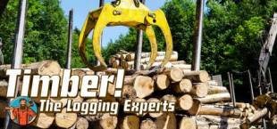 Timber! The Logging Experts