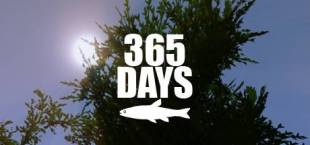 365 Days