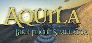 Aquila Bird Flight Simulator