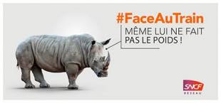 Face au train