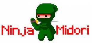 Ninja Midori