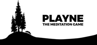 PLAYNE : The Meditation Game