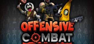 Offensive Combat