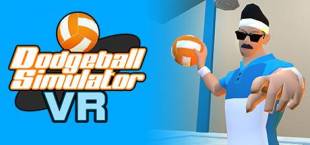 Dodgeball Simulator VR