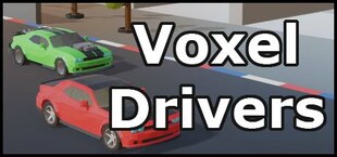 Voxel Drivers