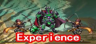 Experience