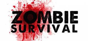 2D Zombie Survival