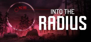 Into the Radius VR