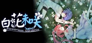 Flowerless Gardenia 白花未咲