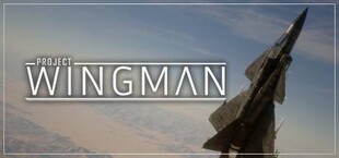 Project Wingman