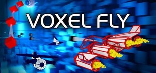 Voxel Fly