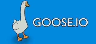 GOOSE.IO