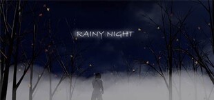 Rainy Night