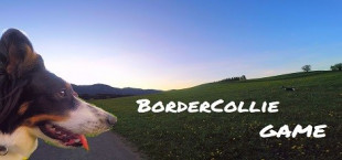 BorderCollie Game