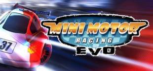 Mini Motor Racing EVO