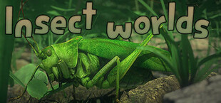 Insect Worlds