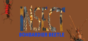 Insect: Bombardier beetle