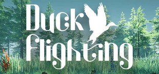 Duck Flight Simulator 2021