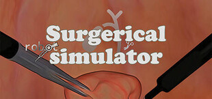 Surgical Robot Simulator