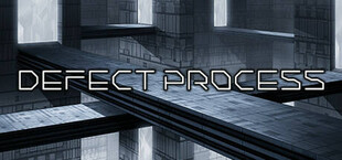 Defect Process