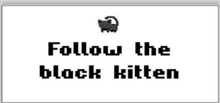 Follow the Black Kitten