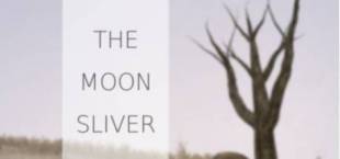 The Moon Sliver