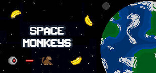 Space Monkeys