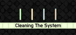 Cleaning The System