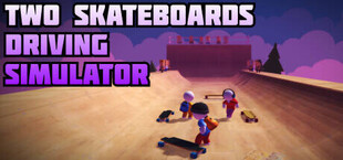 Two Skateboards Driving Simulator