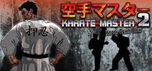 Karate Master 2 Knock Down Blow