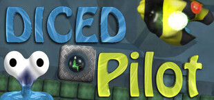 DICED Pilot