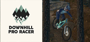 Downhill Pro Racer