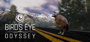 Bird's Eye Odyssey