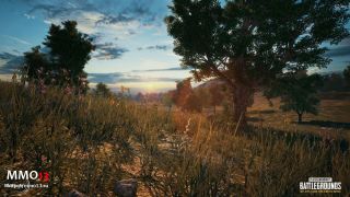 Интервью с создателем Playerunknown`s Battlegrounds, часть 1: успех игры, Xbox One, Марио и читеры