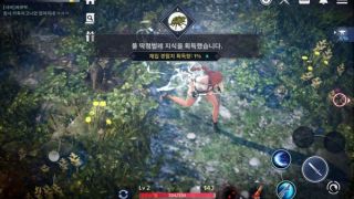 Обзор Black Desert Online Mobile: что нового и чем отличается от версии для ПК