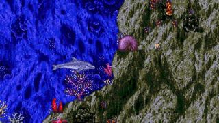 Ecco the Dolphin