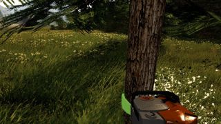 Forestry 2017 - The Simulation